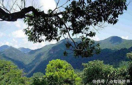 江西藏着一座夏天只有22度的国家森林公园,还