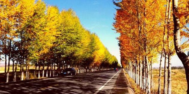 自驾游省钱妙招，你学会了吗?