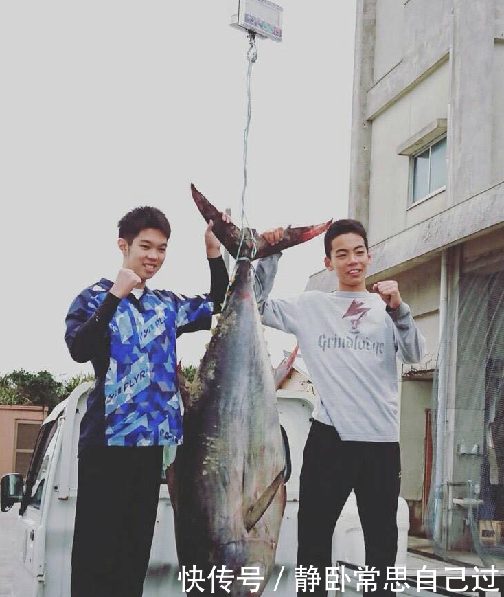 日本初中生徒手制服近2米大鱼 扛到居酒屋烤着