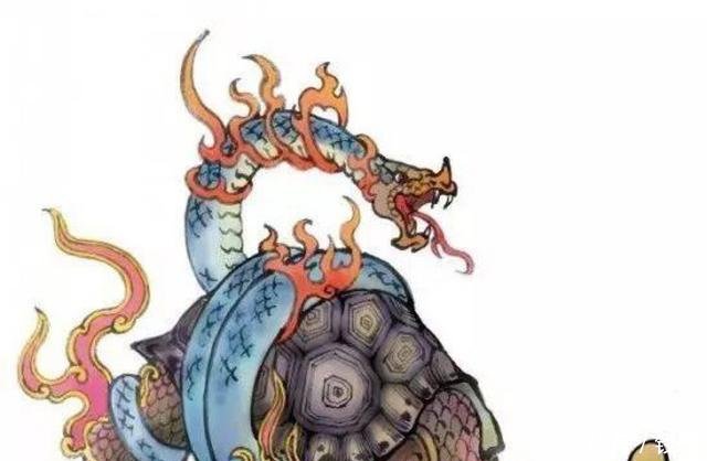 梦境迷踪,解析屋内捉蛇龟螃蟹与飞蛇之梦的深层含义 梦境迷踪,解析屋内捉蛇龟螃蟹与飞蛇之梦的深层含义