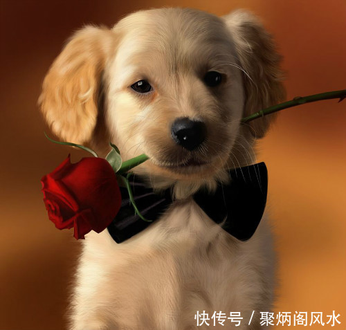 这里有最精准全面的2018戊戌年,流年生肖运势!第二期