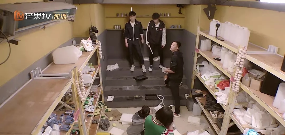 这个综艺全员哈士奇!杨幂调戏邓伦,被张国伟抱