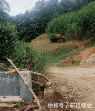 去医院补牙要多少钱