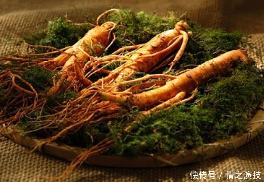 农民创业卖人参,在淘宝做内容又做直播,收入不