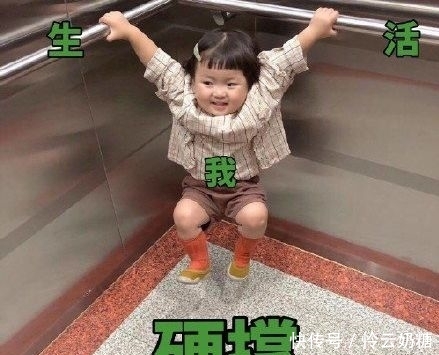 2019年支出账单图片