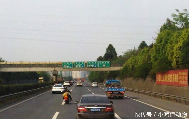高速公路上令人恶心的行为,现已开始整治!司