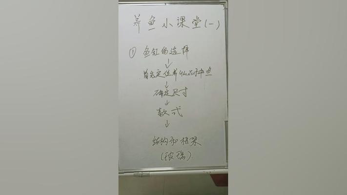 極品龍魚圖片高清 水族問答