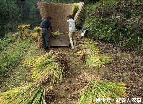 农村那些正在渐渐消失的记忆，你认识几种？最后一种南方很少见