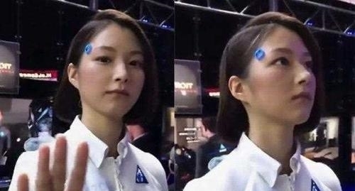 t011e6bd5e2642630b5.jpg?size=500x269