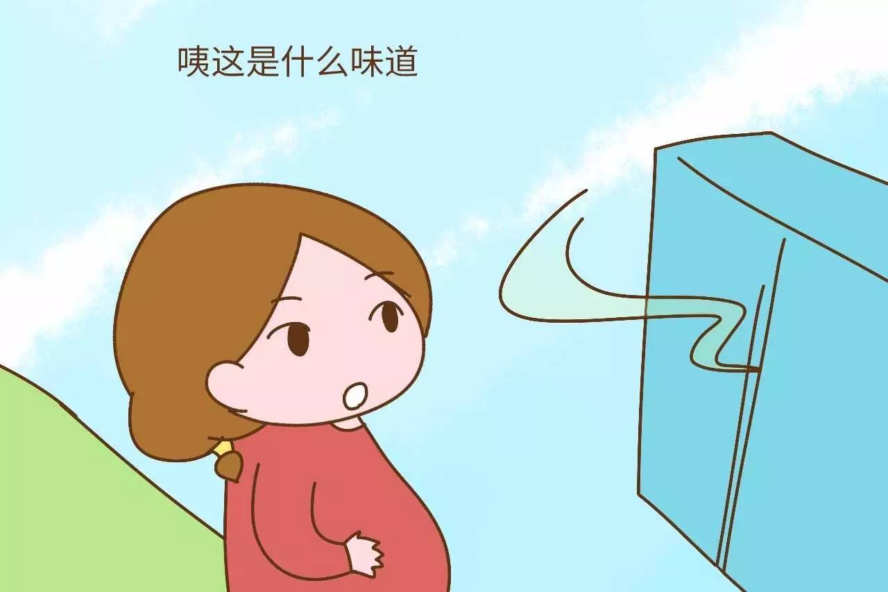 好吧,这个确实是很容易被孕妈妈忽视的问题,小小的樟脑球,也就闻闻