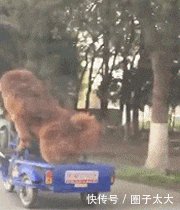 搞笑趣图段子 这样按摩足疗真的好吗 哥们你感