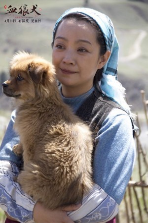 肥龙,党晨,秦艺伟联袂出演的西部动物题材电影《血狼犬》发布正式预告