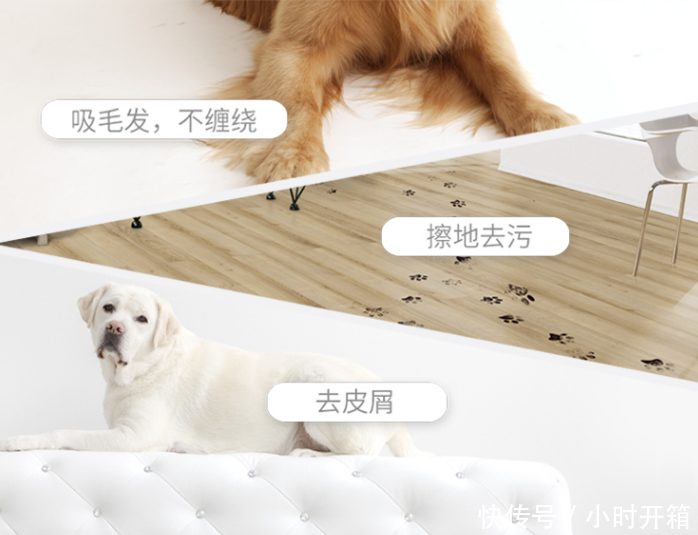 家有萌宠,如何除毛除螨虫?