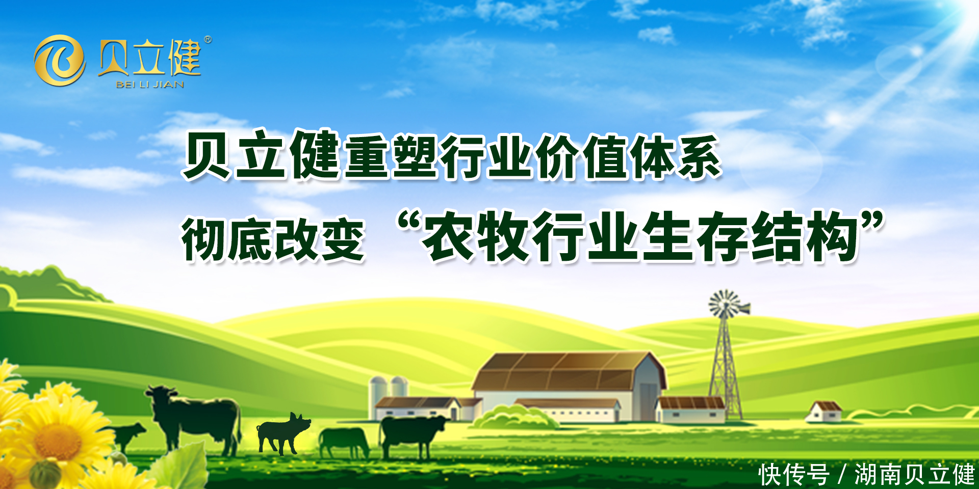贝立健提示这10种饲料千万别喂猪