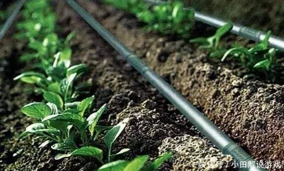 節水灌溉 節水灌溉