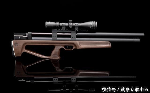 一经问世即成经典,捷克板球气步枪