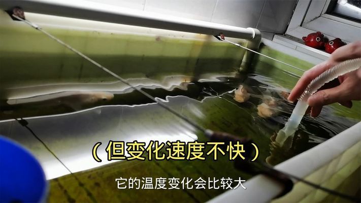 光特億水泵靜音怎么樣好用嗎（光特億水泵靜音怎么樣好用嗎視頻） 光特億