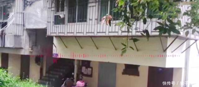 吴谢宇舅舅原谅吴谢宇错误不能全怪他,我姐姐