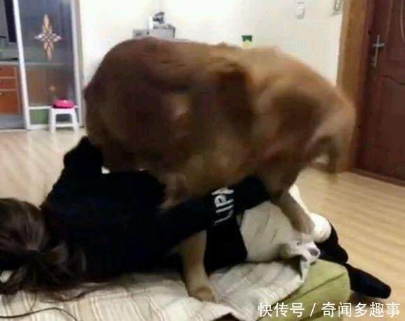 邻居家晚上总发出怪声,我通过门缝一看,吓得双腿发软