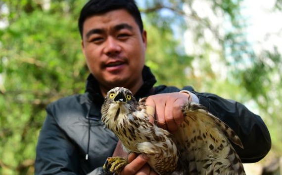 责任和义务的区别