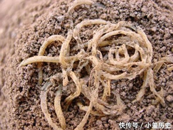 战国水晶杯、秦朝下水道,中国那些逆天的文物, 绝对刷新你的三