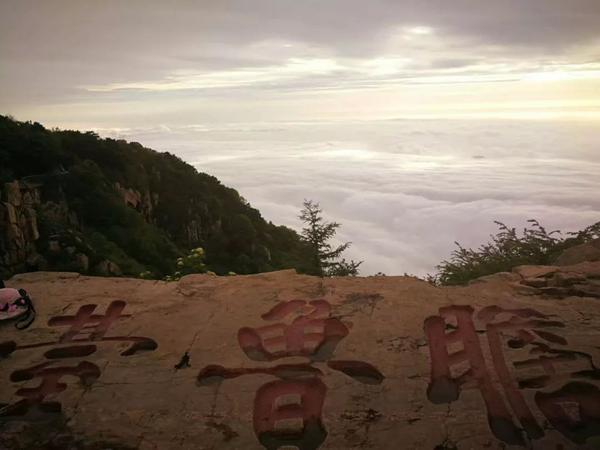 紫气东来!梦幻般的泰山云海日出大片