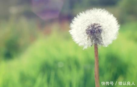 十二生肖中,8月开始财禄两旺,事业平稳发展,充满喜悦的3生肖