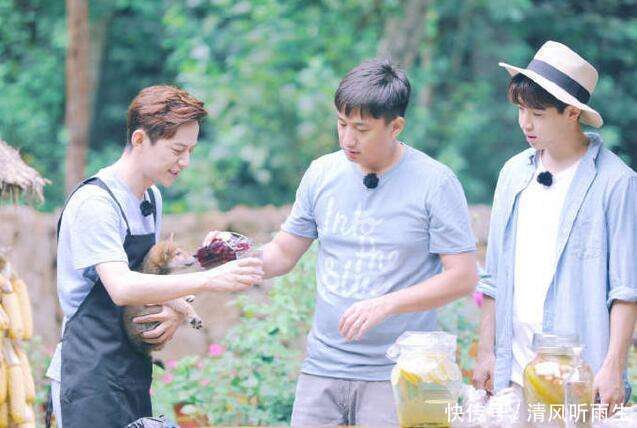 《向往的生活》黄磊厨艺被指做菜时有替身, 网