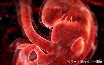 胎儿筛查畸形的最佳时间?每天坚持吃点,让孕妈