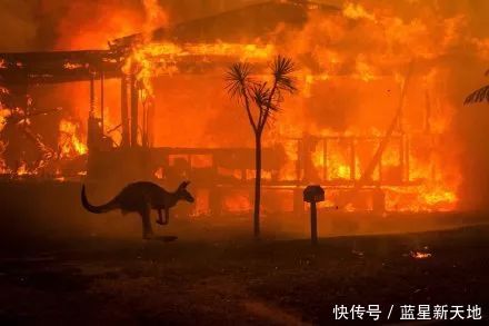 t012afe3c00061b4ab4.jpg?size=440x293