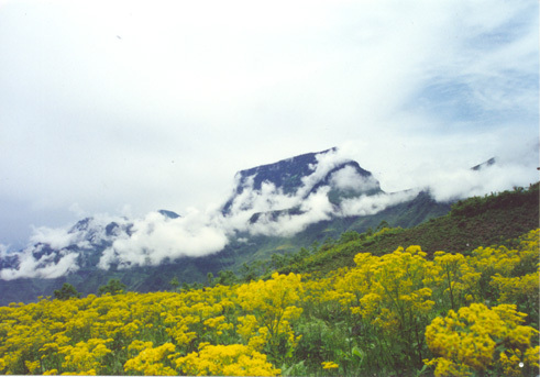 大瓦山