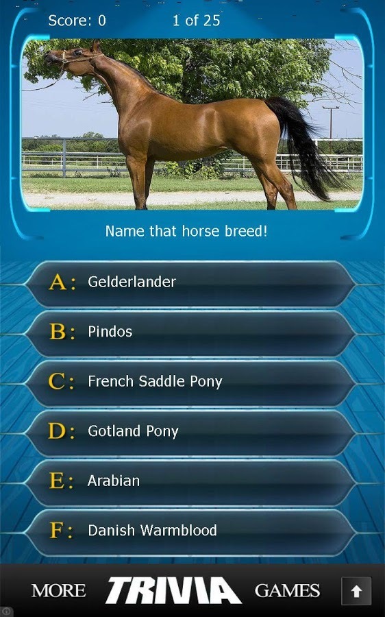 Name that Horse Breed Trivia截图6