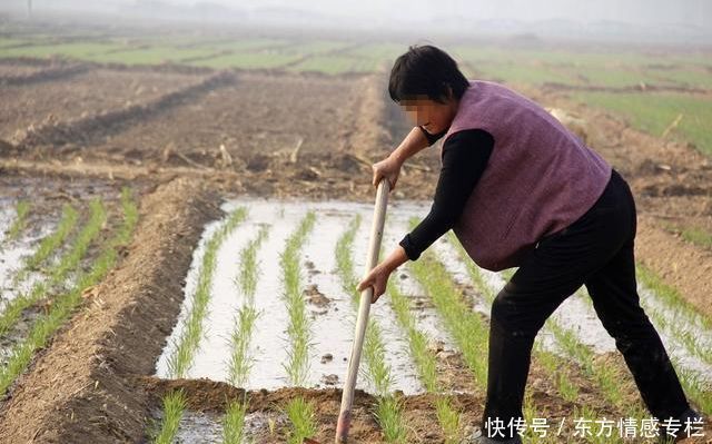 儿媳车祸，不准我进屋照顾，我悄悄进去后，气的眼睛一黑头皮发麻