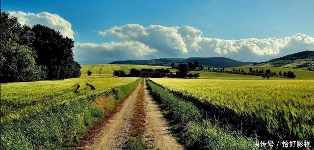 t012d0a59c5bf2a732d.jpg?size=640x306