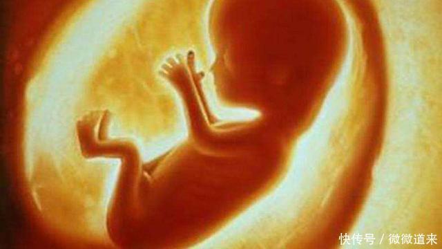 科学界最尖端的125个谜团, 诺贝尔奖在等待它们