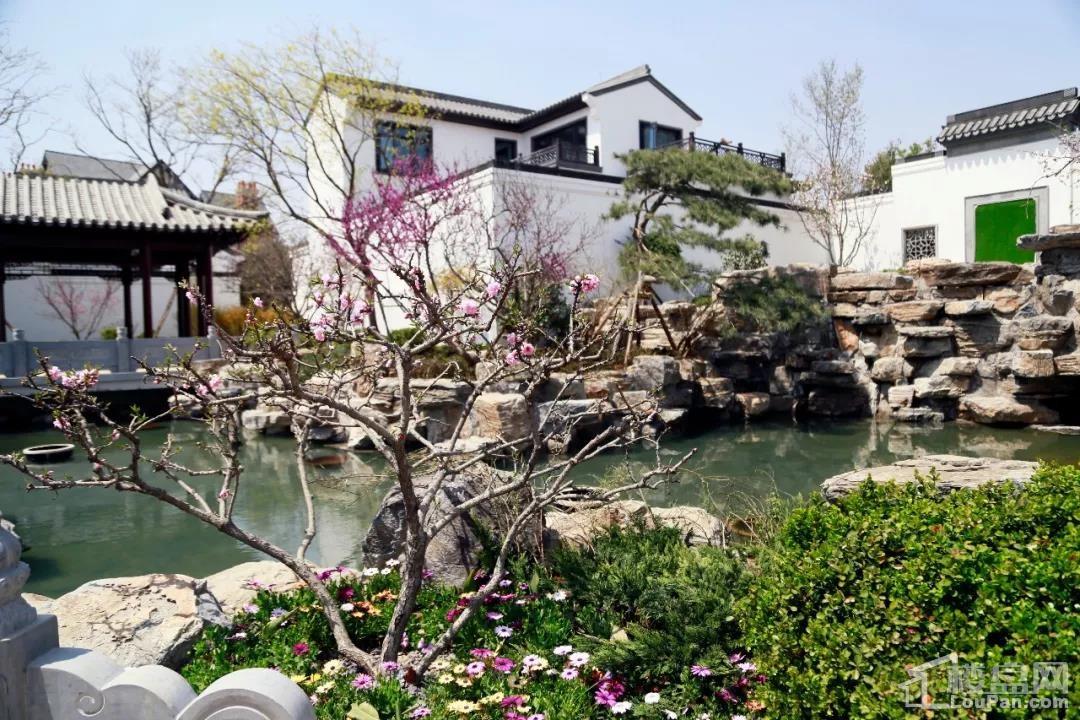 史上最严调控之后,即墨、胶州、莱西、平度楼盘热销