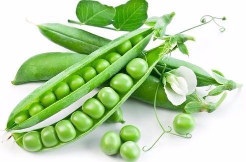 毛豆,豌豆,大豆是个什么关系?_360问答