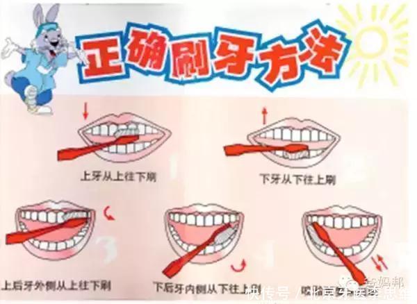 0-7岁幼儿刷牙用具、护齿方法详解