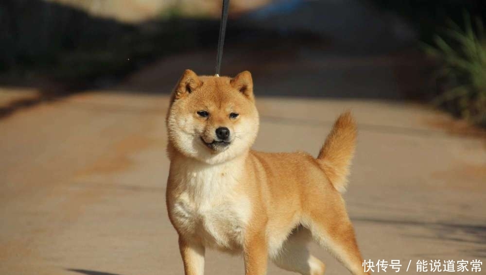 t012f2b9af0ab7689e6.jpg?size=1000x566