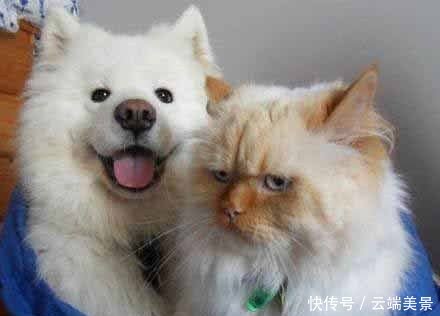 t012f828f4a31f42602.jpg?size=440x316