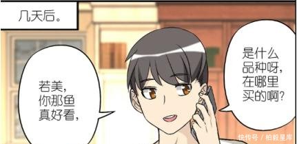 搞笑漫画漫画养金鱼下场团灭!他的失手很惨天天男子a漫画影火图片