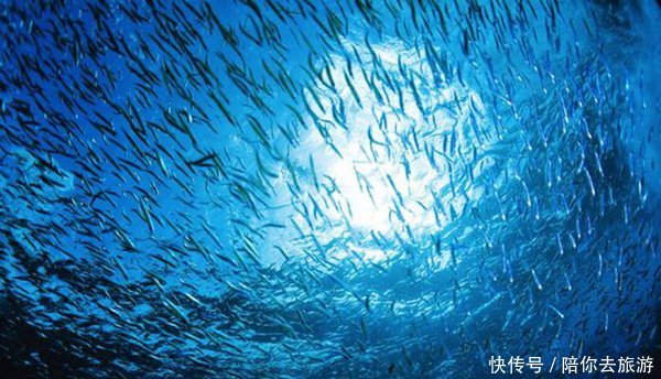 海底9万米有多恐怖 极限海底一万米吓疯潜水员