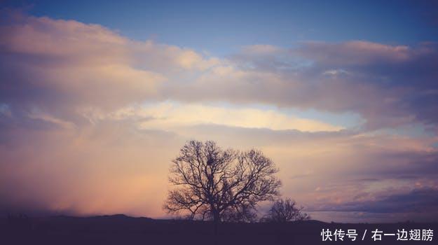 办理取保候审最快几天