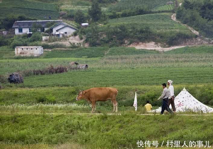 在农村，出嫁的女儿能继承父母的土地吗？