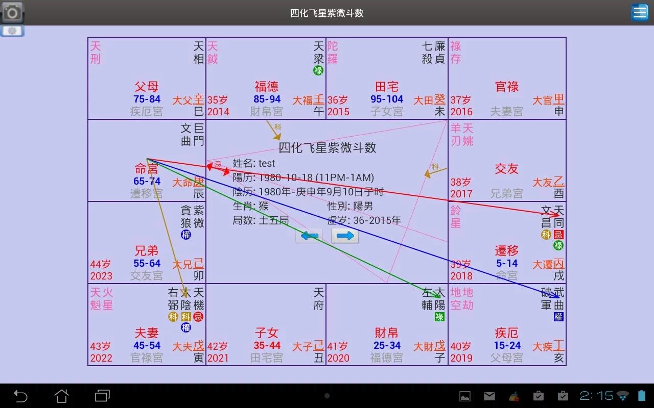 四化飞星紫微斗数 - Zi Wei Dou Shu截图5