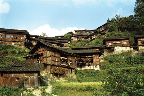 t0137d454dd68326bfa.jpg