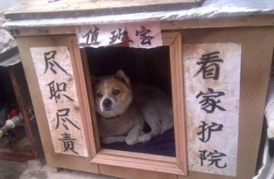 开心一刻笑话:你们都交往这么久了,怎么现在才来啊