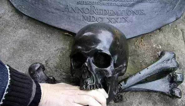 死亡只是生命的另一种形式,不信吗?看美国科学家最新发现!