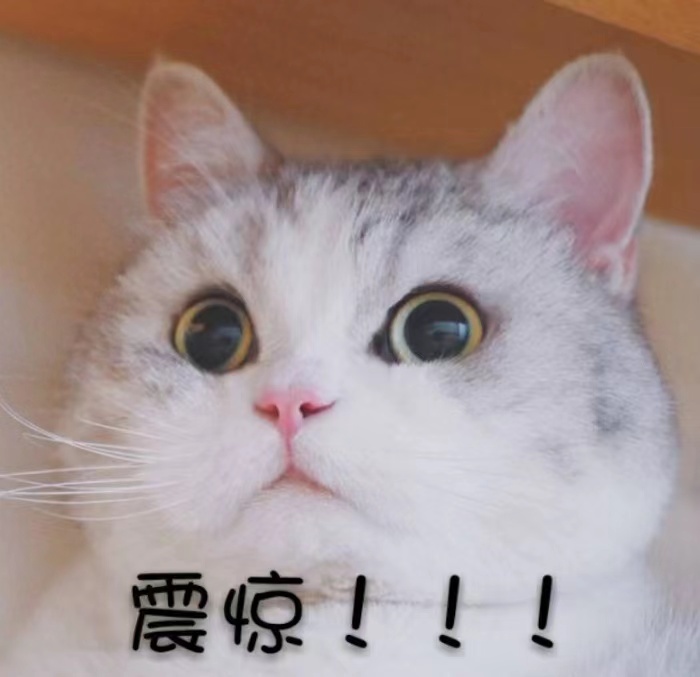 顶流偶像新歌首发!MV女主竟是绝对演绎18线艺人?