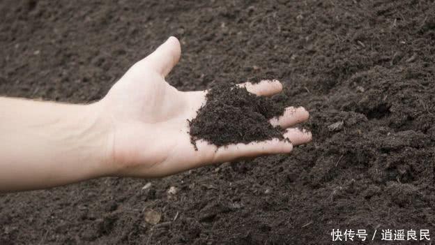 环保公司是做什么的